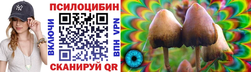 Псилоцибиновые грибы прущие грибы  купить  цена  Бор 