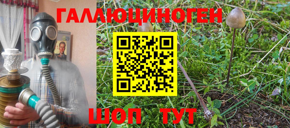 Бор  Псилоцибиновые грибы мухоморы  продажа наркотиков  Вход с VPN 