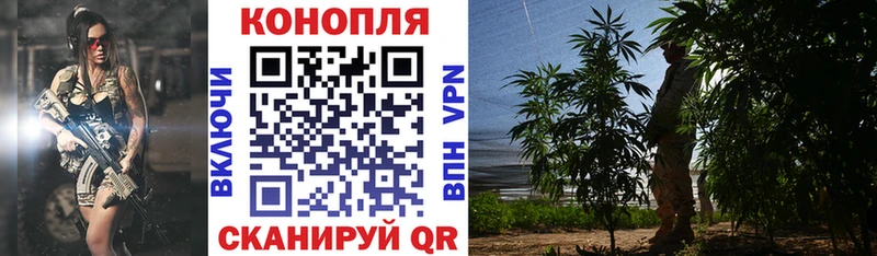 Конопля сатива  нарко площадка как зайти  Бор 